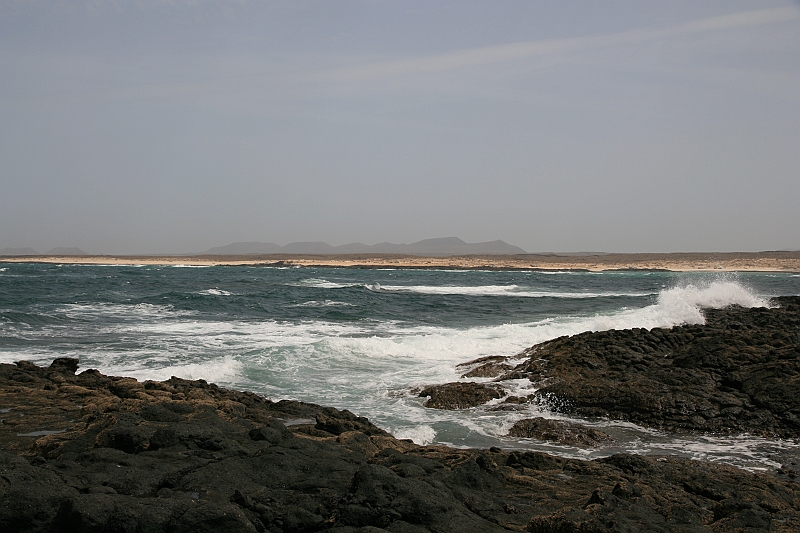 Kanary_2010 133